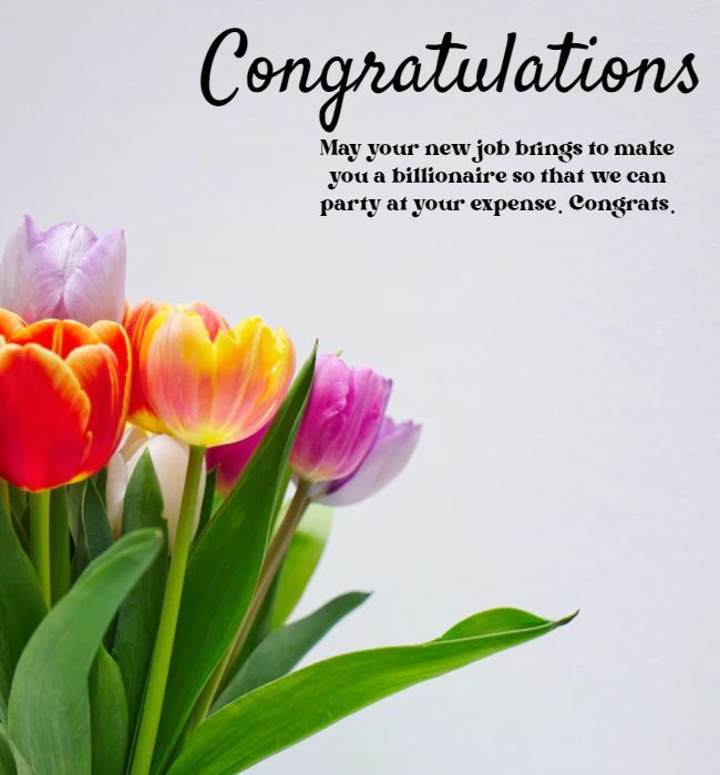 Congratulations May your new job brings to make you a billionaire so that we can party at your expense . Congrats. Congratulations
May your new job brings to make you a billionaire so that we can party at your expense . Congrats.