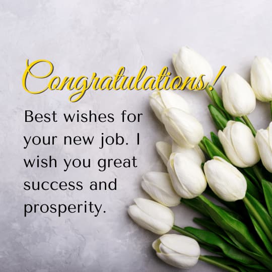 Congratulation Best wishes for your new job. I wish you great success and prosperity. Congratulation Best wishes for your new job. I wish you great success and prosperity.