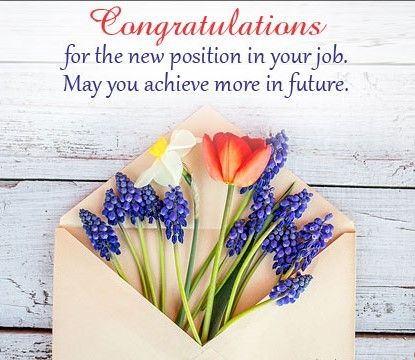 Congratulations for the new position in your job. May you achieve more in future. Congratulations for the new position in your job. May you achieve more in future.