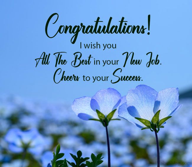 Congratulation I wish you All the Best in you r new job Cheers to your success. Congratulation I wish you All the Best in you r new job Cheers to your success.