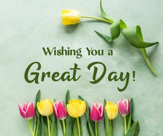Cute animated heart with ‘Have a Wonderful Day’ message Cute animated heart with ‘Have a Wonderful Day’ message