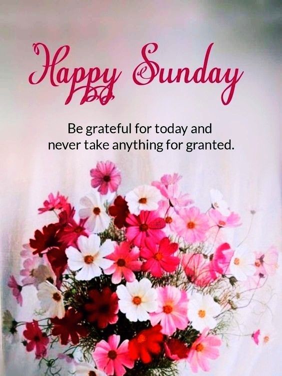 Happy Sunday Be Grateful for today and never take anything for granted Happy Sunday
Be Grateful for today and never take anything for granted