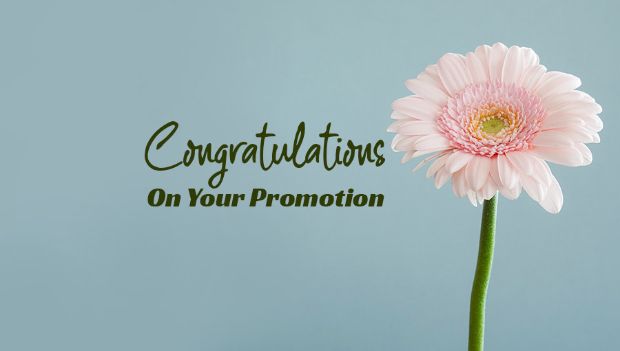 Cheers to a bright future after a job promotion
