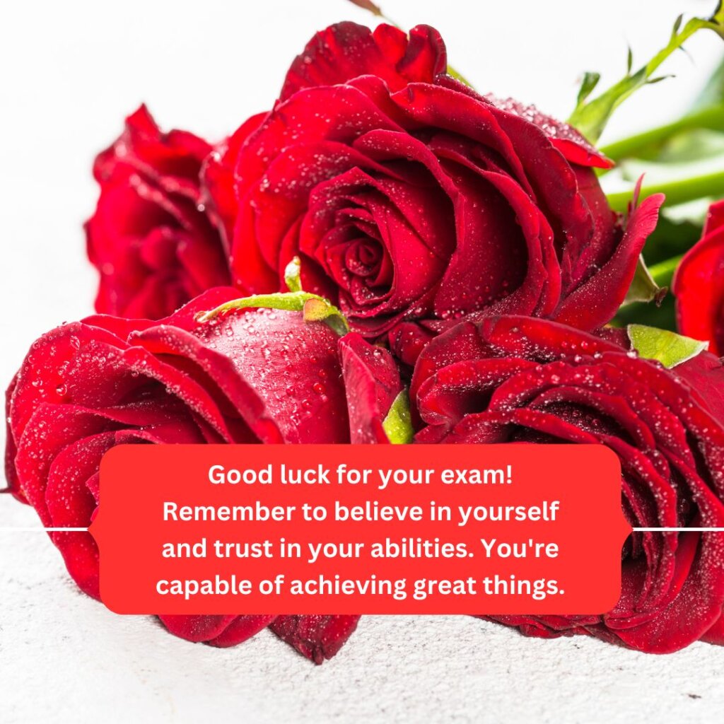 Proud parent sending love and support for daughter's exam