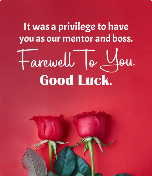 Team members celebrating and bidding farewell to their boss with appreciation Team members celebrating and bidding farewell to their boss with appreciation