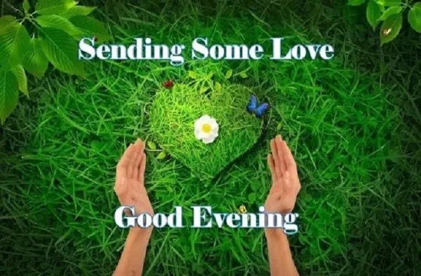 Soft pink twilight sky with romantic good evening text