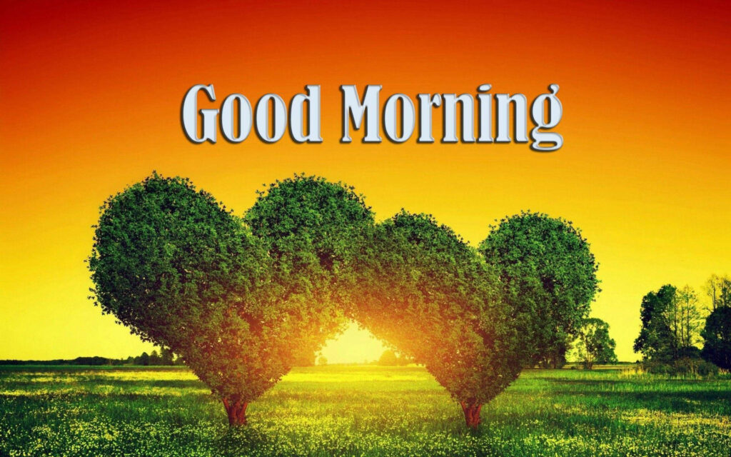 Good Morning Wishes For Lover