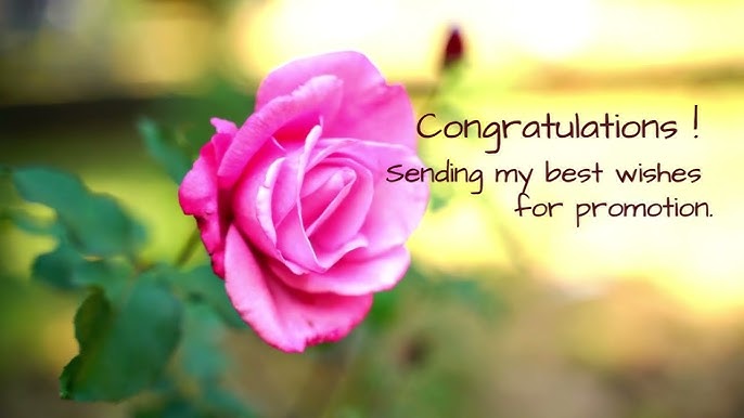 Celebrating success with a congratulatory message for promotion