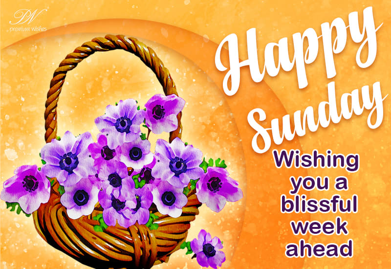 Sunday Wishes