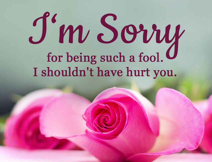 Sorry Wishes