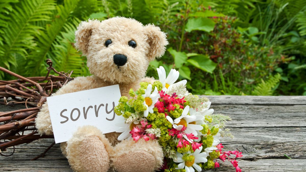 Sorry Wishes